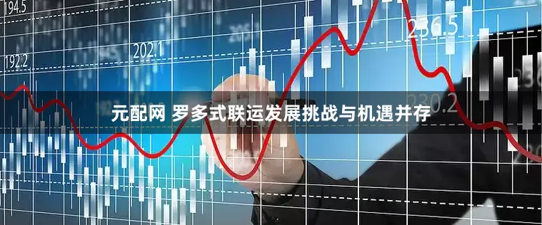 元配网 罗多式联运发展挑战与机遇并存