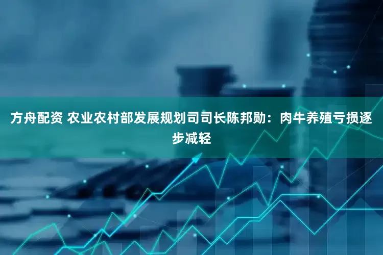 方舟配资 农业农村部发展规划司司长陈邦勋：肉牛养殖亏损逐步减轻